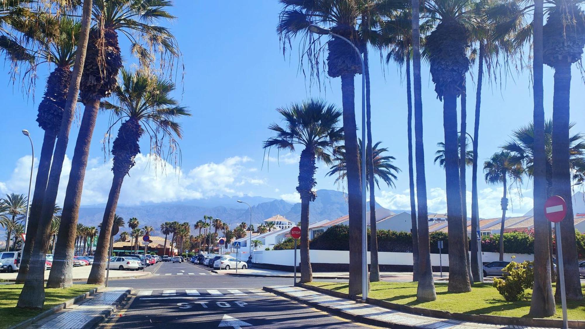 Parque Santiago 2 En Playa De Las Americas อาโรนา ภายนอก รูปภาพ